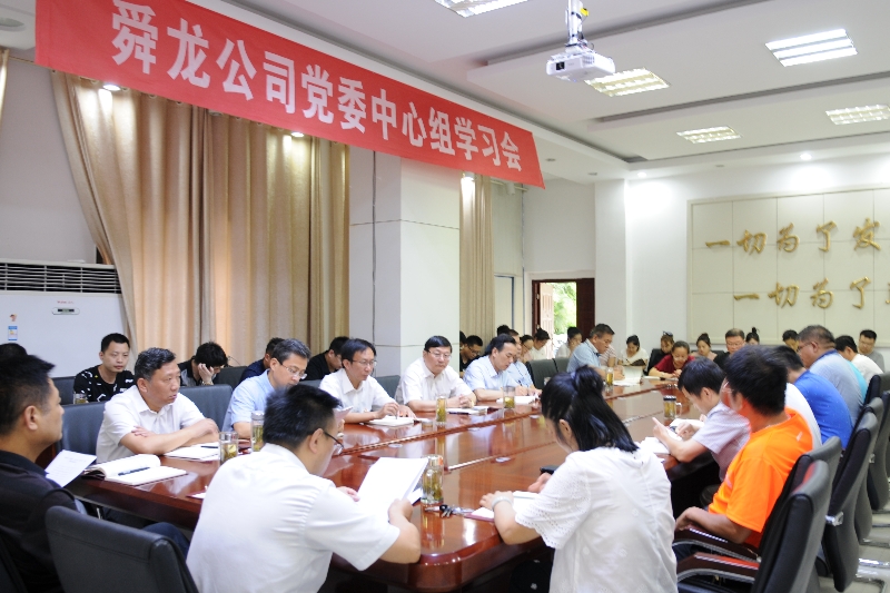 舜龍公司召開(kāi)“講忠誠(chéng)、嚴(yán)紀(jì)律、立政德”專(zhuān)題警示教育動(dòng)員會(huì)